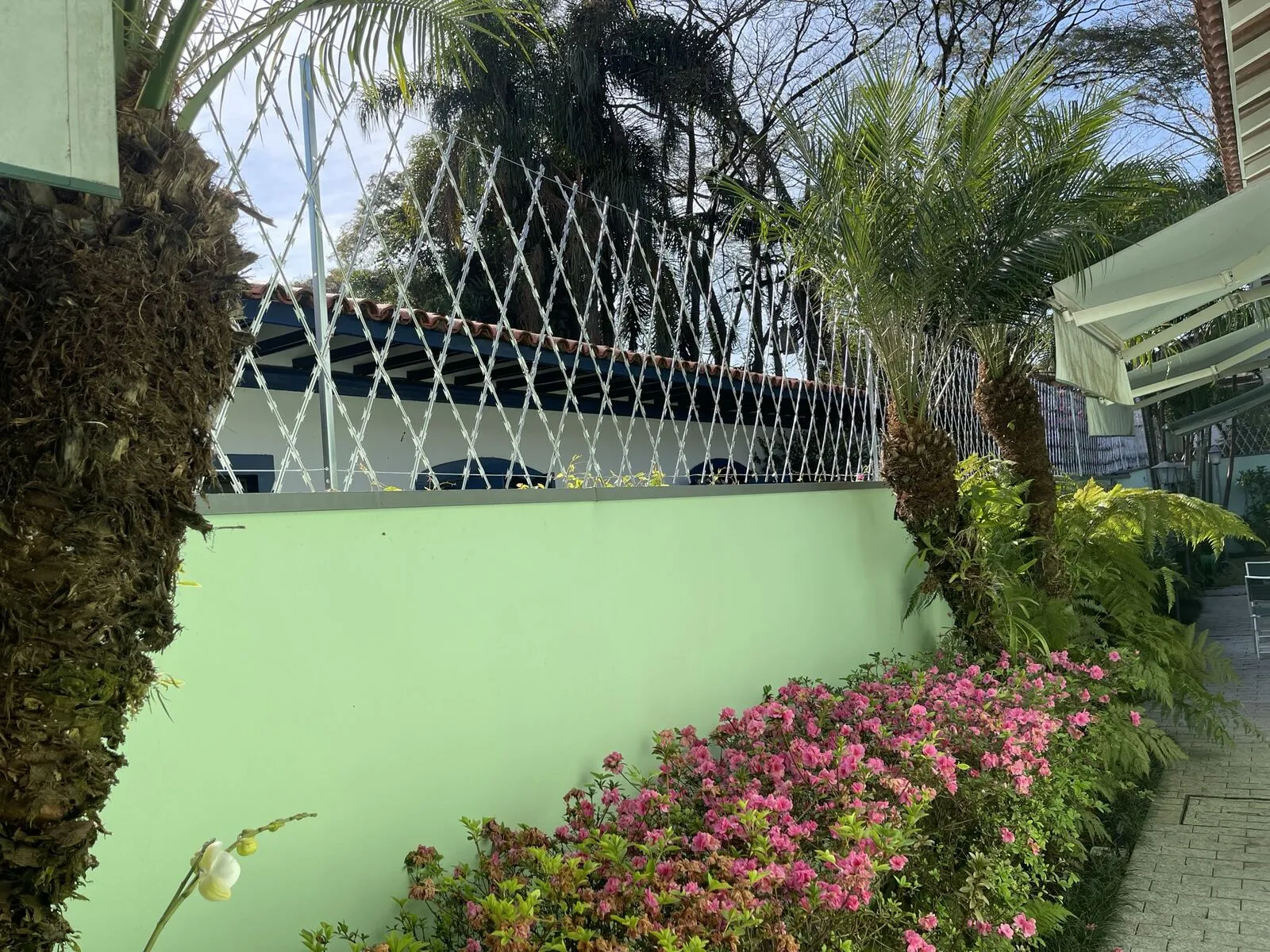 Rede navalhada em muro residencial com jardim — proteção sem agredir a estética